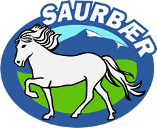 Saurbær