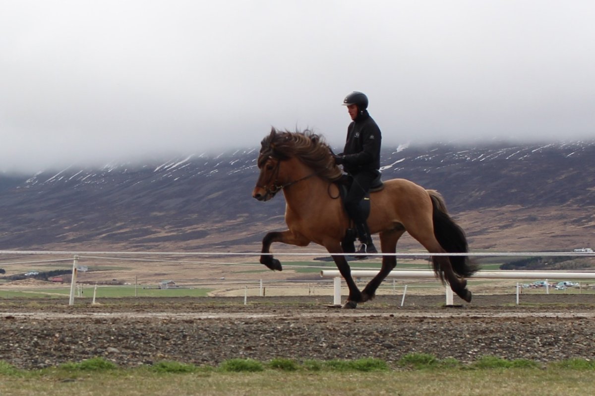 Hlekkur hækkaði og komst inn á Landsmót