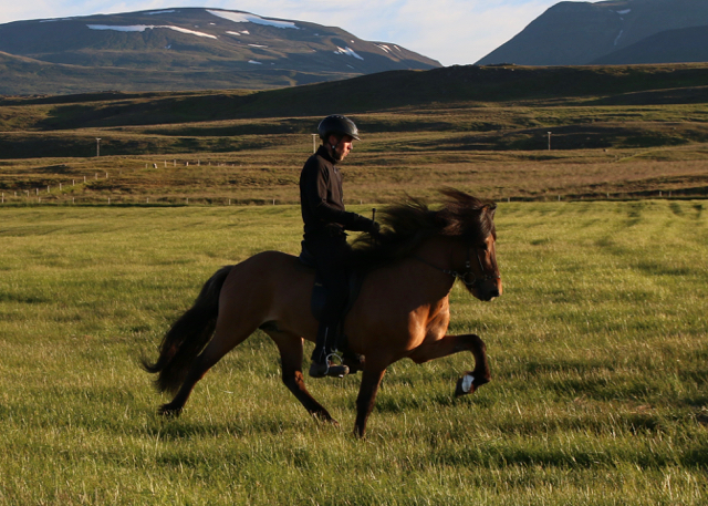 Það er nauðsynlegt að skoða svona myndir til að minna sig á sumarið