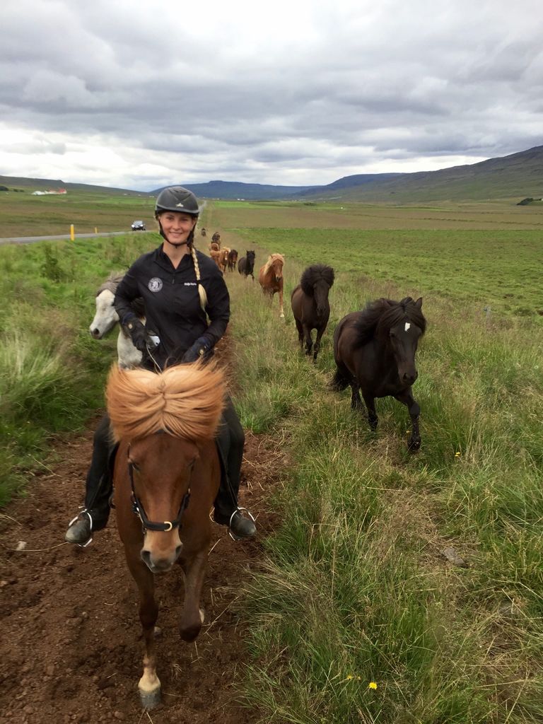 Frá hestaferð fram í Merkigil síðasta sumar